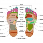 Kiyome Kinoki Επιθέματα Detox Foot Pads για Αποτοξίνωση 10τμχ.